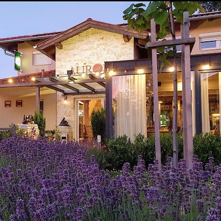 Aurora Panzio Bed & Breakfast Bük Екстериор снимка