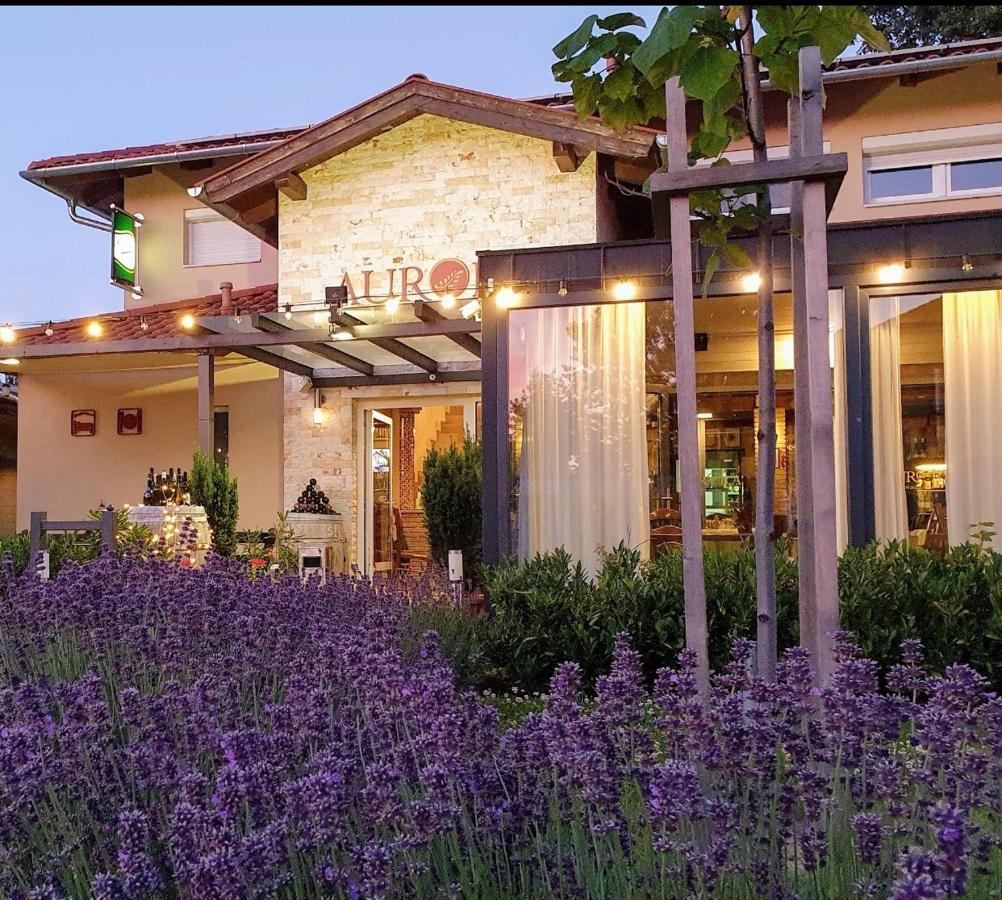Aurora Panzio Bed & Breakfast Bük Екстериор снимка